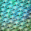 B19 Aqua Shells Mix Background 8x8 Paper