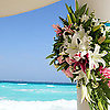 CC12 Beach Bouquet