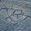 CC15 Petroglyph 8x8 Paper