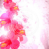 J07 Hot Pink Hibiscus Splash 8x8 Paper