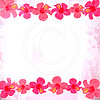 J08 Hot Pink Hibiscus Splash Borders 8x8 Paper