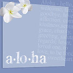 D11 Aloha By AR Fade Blue