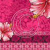 G19 Hot Pink Hibiscus Wallpaper 8x8 Paper