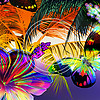 H03 Electric Butterfly Hibiscus Left