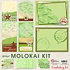 12x12 Molokai Scrapbooking Kit