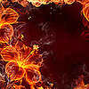 BB02 Lava Hibiscus Frame