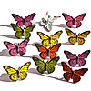 Butterfly Brads