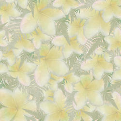 A03 Yellow Plumeria Scatter Large
