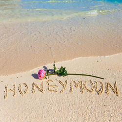 CC05 Honeymoon in Sand 8x8 Paper