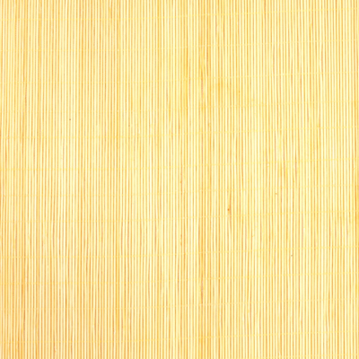 N10 Bamboo Mat 8x8 Paper