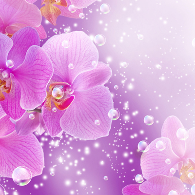 H17 Purple Orchid Bubbles 8x8 Paper