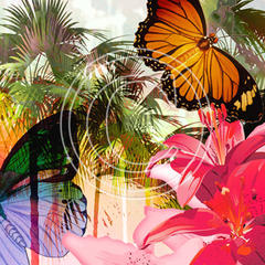 H02 Tropical Butterfly Right 8x8 Paper