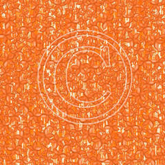 II03 Orange Retro IP Plumeria 8x8 Paper