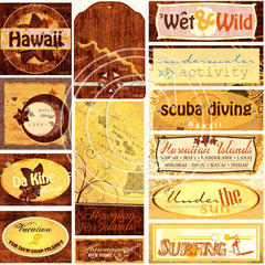 O02 Hawaiian Islands Embellishments 8x8 Paper