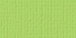 Textured Cardstock 12x12 Key Lime