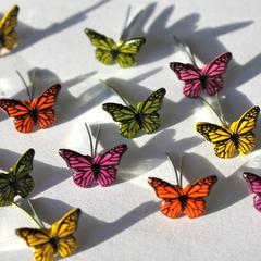 Mini Butterfly Brads