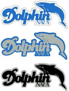 Dolphin Laser Cut