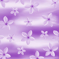 D19 Plumeria Wash Purple 8x8 Paper
