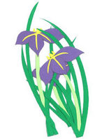 Iris Flowers Laser Cut