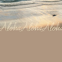 W01 Aloha in the Sand